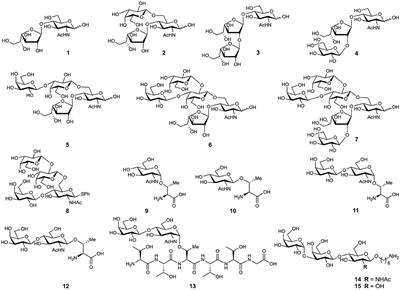 Corrigendum: Mucins and Pathogenic Mucin-Like Molecules Are Immunomodulators During Infection and Targets for Diagnostics and Vaccines